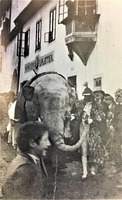 Die Sensation des Umzuges im Jahre 1934 waren die Elefanten, die jeweils von mehreren Trägern in Bewegung gesetzt wurden. Die Herstellung der Zirkustiere erforderte einen großen Zeitaufwand. Aus starkem Hausleinen wurde die Elefantenhaut zusammengenäht, welche über ein Holzskelett gezogen und mit Moosgras gestopft wurde. Die Besonderheit der Elefanten bestand darin, dass sie den Rüssel heben konnten, durch welchen mit gezieltem Wasserstrahl auf die Zuschauer gespritzt wurde, ebenso den Schwanz, durch welchen einer der Träger mittels einer "Garggl" (Handpumpe) leicht verdünnten Kuhmist nach außen beförderte. (Text und Foto aus dem Chronikbuch der MK-Laas)